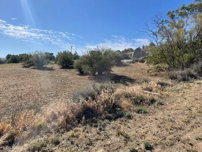 Terlisner 2 - eraexcelproperties.com