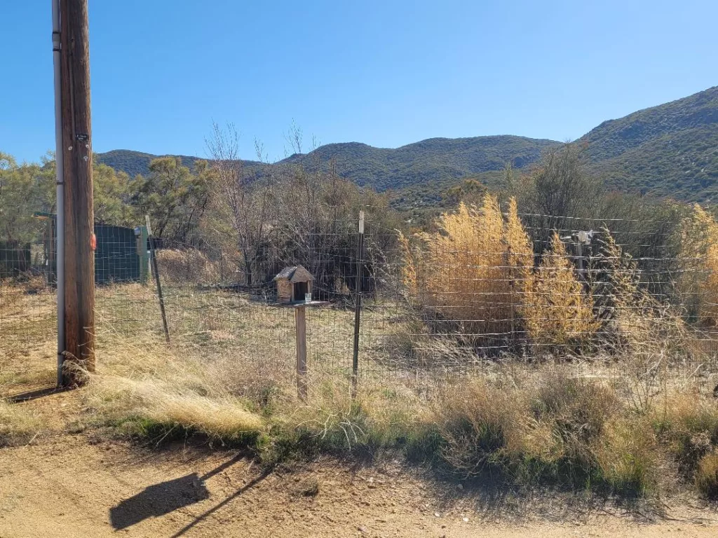 Trails End 5 - eraexcelproperties.com