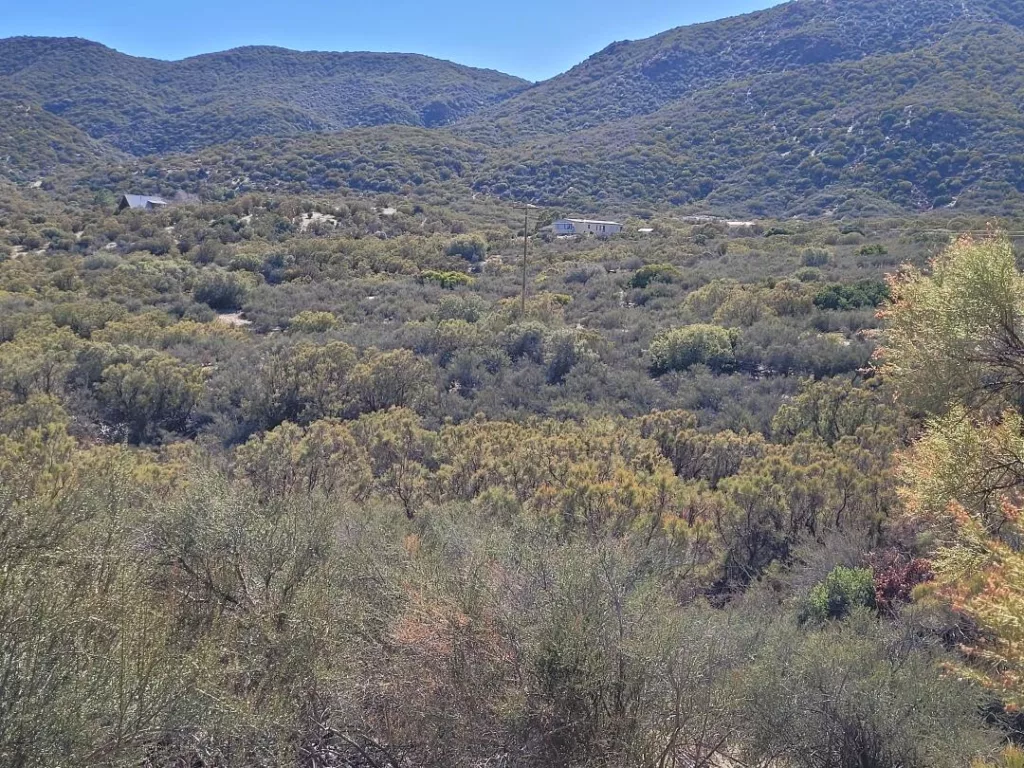 Trails End 9 - eraexcelproperties.com
