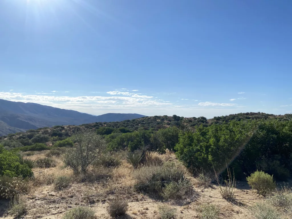 WildHorse 10 - eraexcelproperties.com