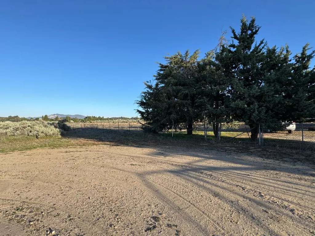 Benton 12 - eraexcelproperties.com