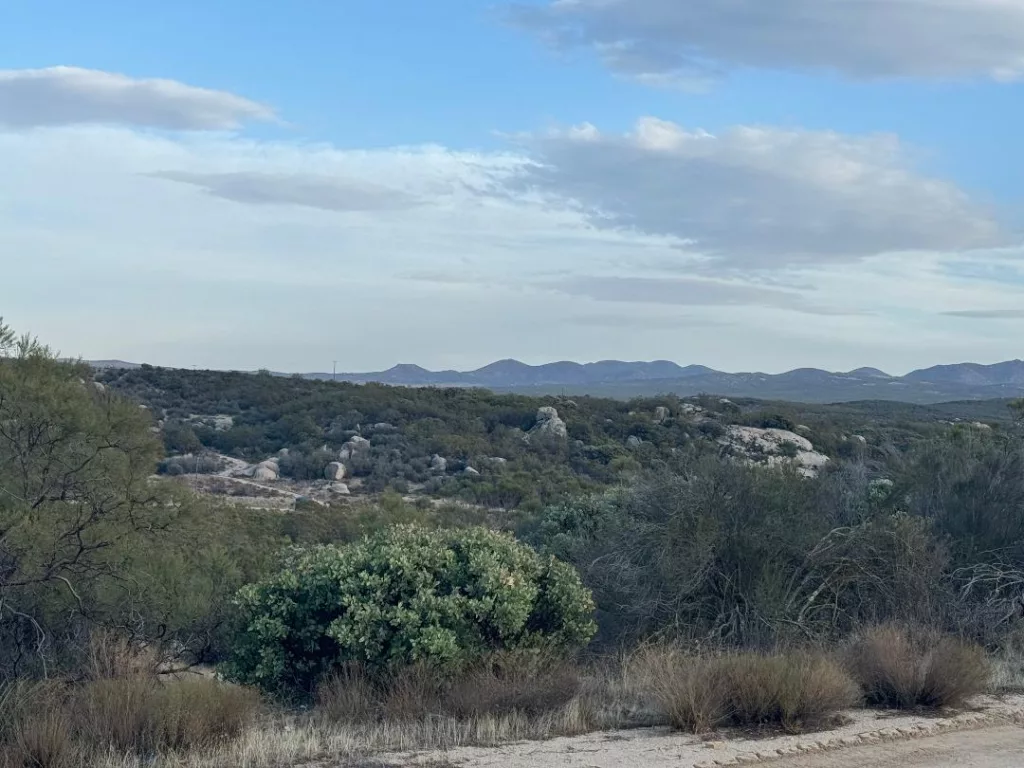 Springbrook 5 - eraexcelproperties.com