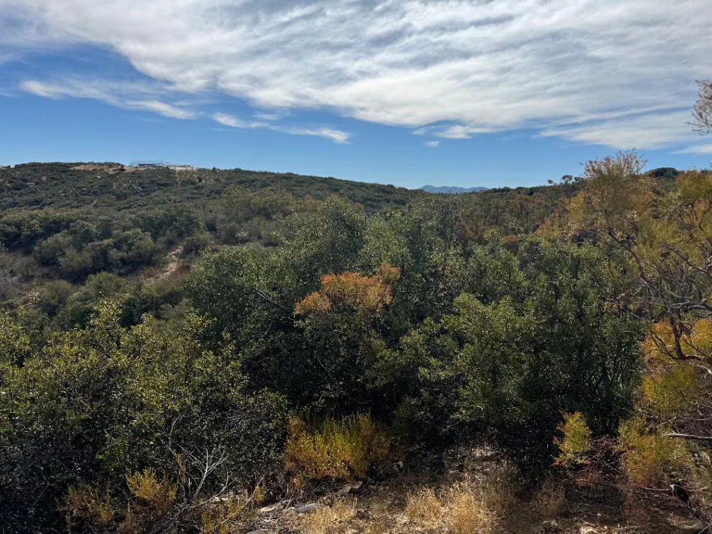 Table Mtn Trk Trl-5