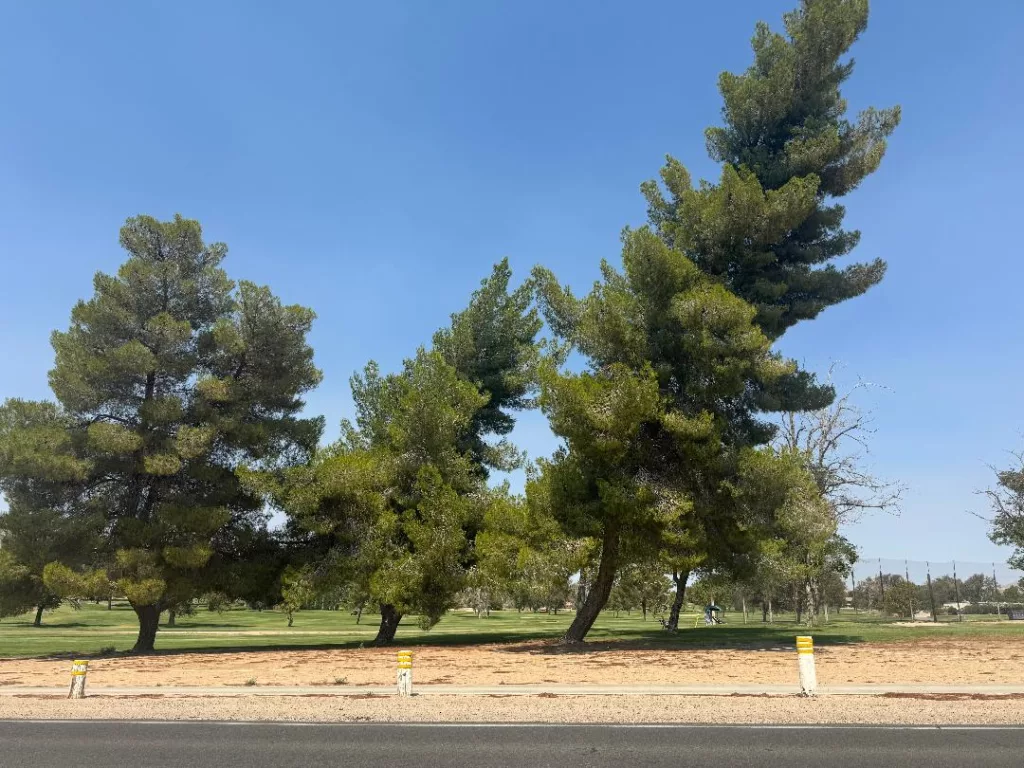 15 golf course apple valley