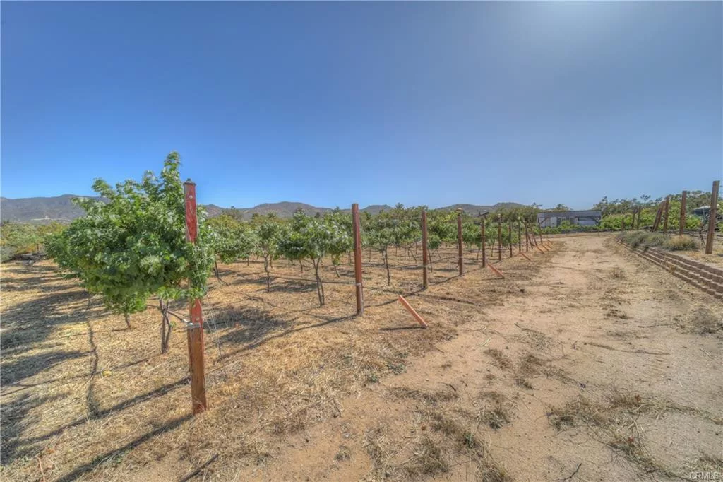 Valley Vista 7