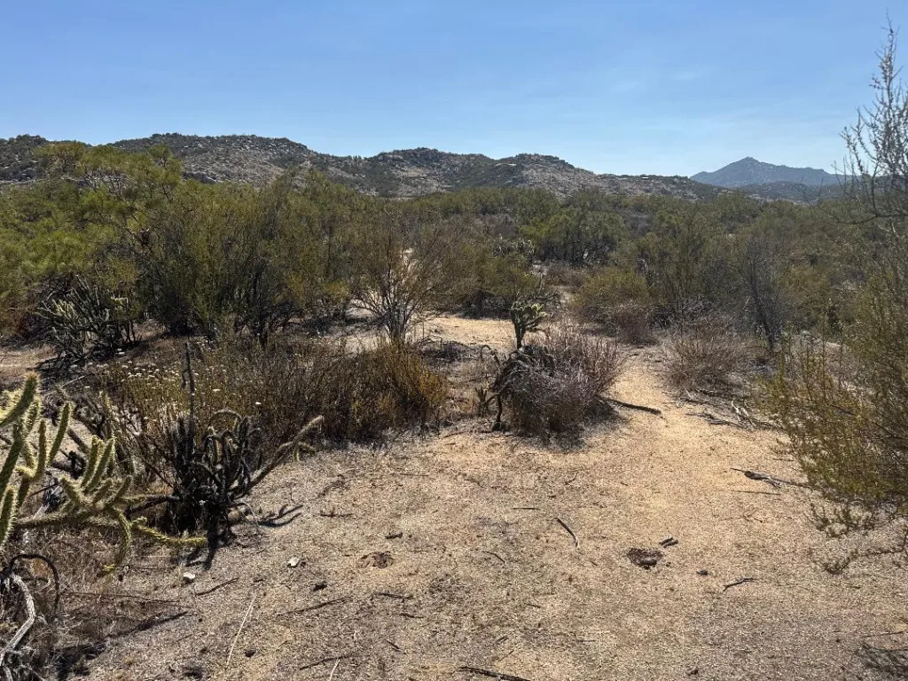 Shortcut Trail 27 acres Aguanga 2