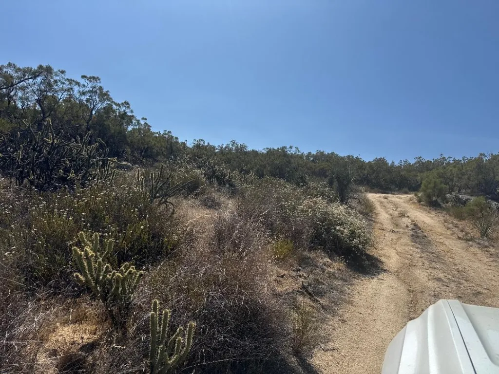 Shortcut Trail 27 acres Aguanga 4