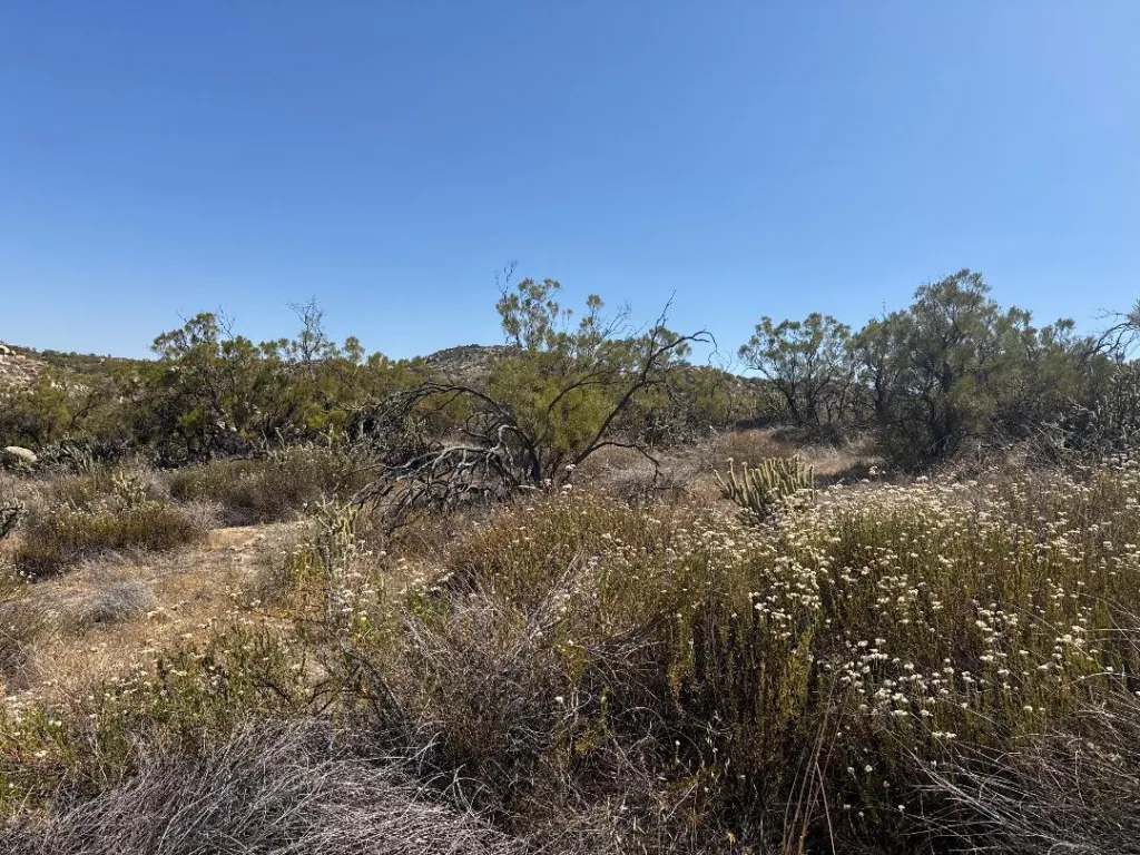 Shortcut Trail 27 acres Aguanga